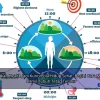Circadian Health Jadi Kunci Pola Hidup Sehat, Begini Cara Menjaga Ritme Tubuh Tetap Teratur