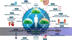 Circadian Health Jadi Kunci Pola Hidup Sehat, Begini Cara Menjaga Ritme Tubuh Tetap Teratur