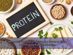 Memenuhi Protein Harian dari Sumber Nabati, Ini Pilihan Makanan yang Bisa Dikombinasikan