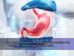 Cara Menjaga Kesehatan Lambung Sejak Dini, Perhatikan Pola Makan hingga Rutinitas Harian