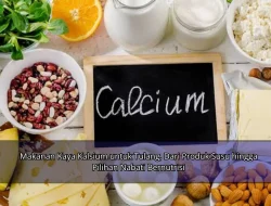 Makanan Kaya Kalsium untuk Tulang, Dari Produk Susu hingga Pilihan Nabati Bernutrisi