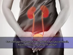 Cara Menjaga Kesehatan Kandung Kemih dan Saluran Kemih, Rutinitas Kecil yang Sering Terabaikan