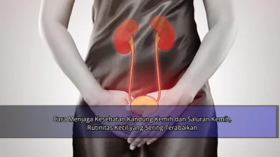 Cara Menjaga Kesehatan Kandung Kemih dan Saluran Kemih, Rutinitas Kecil yang Sering Terabaikan