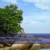 Menenangkan Pikiran dengan Nature Therapy, Ide Aktivitas Alam yang Mudah Dilakukan saat Waktu Luang
