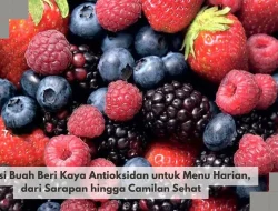 Variasi Buah Beri Kaya Antioksidan untuk Menu Harian, dari Sarapan hingga Camilan Sehat