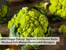 Brokoli hingga Pakcoy, Sayuran Cruciferous Bantu Membuat Pola Makan Harian Lebih Beragam