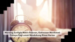 Morning Sunlight Makin Relevan, Kebiasaan Menikmati Cahaya Pagi untuk Mendukung Ritme Harian