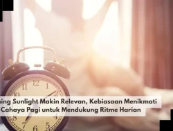 Morning Sunlight Makin Relevan, Kebiasaan Menikmati Cahaya Pagi untuk Mendukung Ritme Harian