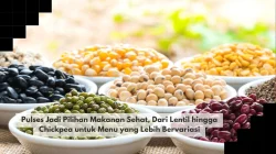 Pulses Jadi Pilihan Makanan Sehat, Dari Lentil hingga Chickpea untuk Menu yang Lebih Bervariasi
