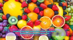 Colorful Vegetables dalam Menu Harian: Cara Mudah Memenuhi Kebutuhan Gizi Setiap Hari