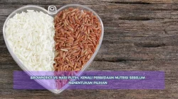 Brown Rice vs Nasi Putih, Kenali Perbedaan Nutrisi Sebelum Menentukan Pilihan