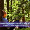 Nature Therapy Makin Diminati, Kebiasaan Berjalan di Ruang Hijau Bisa Mendukung Kesehatan Mental