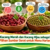 Kacang Merah dan Kacang Hijau sebagai Pilihan Sumber Serat untuk Menu Harian