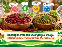 Kacang Merah dan Kacang Hijau sebagai Pilihan Sumber Serat untuk Menu Harian