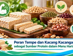 Peran Tempe dan Kacang Kacangan sebagai Sumber Protein dalam Menu Harian